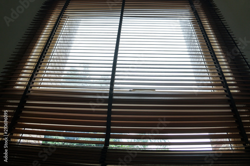 wood blind shade curtain and shadow tree background