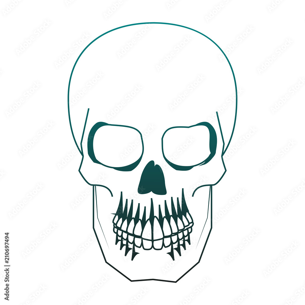 Fototapeta premium Human skull drawing vector illustration graphic design