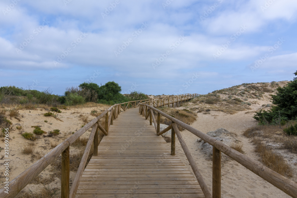 Pasarela de madera a traves de las dunas en una playa de Cadiz