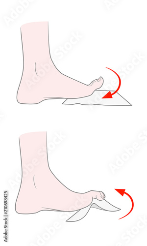 Exercise for flexibility of the joints of the toes. A bare foot of a woman bends and unbends her fingers. Lifting a handkerchief and small objects with fingers. Vector. Isolated on white background.