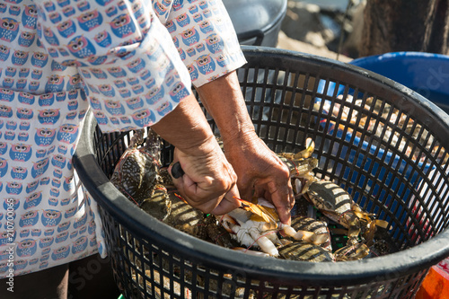 Woman prepare a BLUE SWIMMING CRAB in the basket for sale