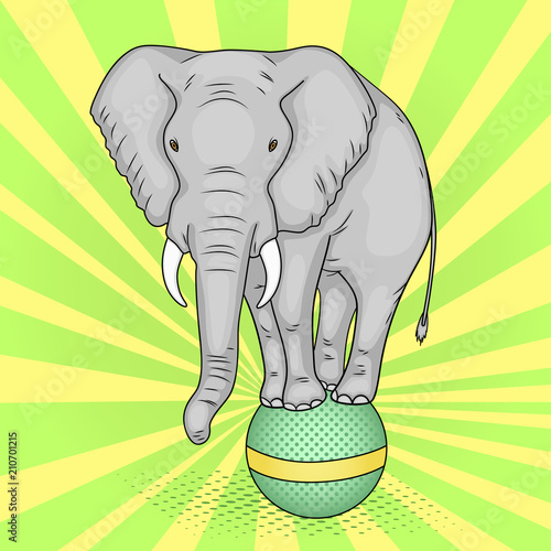 Pop art background, green sun rays. A circus elephant stands on a ball. The imitation of comic style. Vector