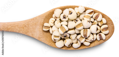 Job's tears or adley in wooden spoon is a very nutritious cereal. The seeds are rich in minerals, vitamins, dietary fiber, and essential amino acids. Can be cooked as food and drink. photo