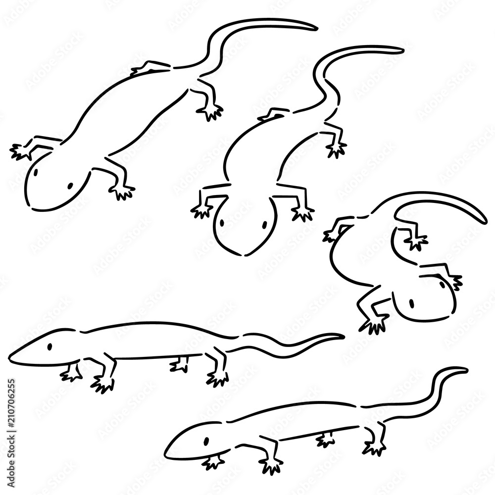 Naklejka premium vector set of lizards