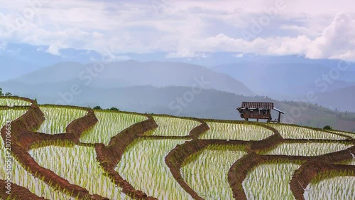 Timelapse of Rice terraces at Pa Pong Pieng in Mae Chaem district, Chiangmai province of Thailand photo
