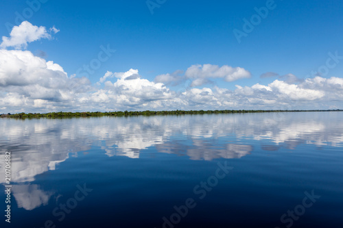 Amazonas, Brazil - River bank in the Amazon rainforest with dark waters of Negro river reflecting blue sky and clouds and forest in the background on a sunny day.