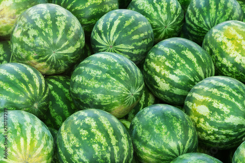 Ripe watermelons with a green striped rind