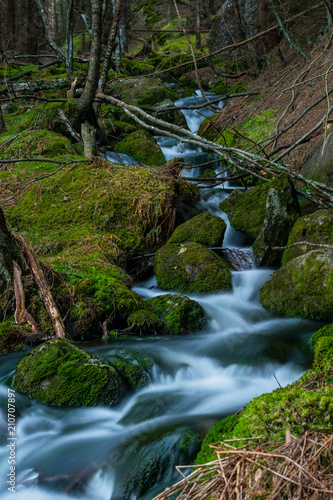 Fototapeta Naklejka Na Ścianę i Meble -  Stream in forest