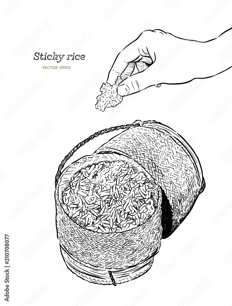 sticky rice in a bamboo wooden old style box, hand draw sketch vector ...