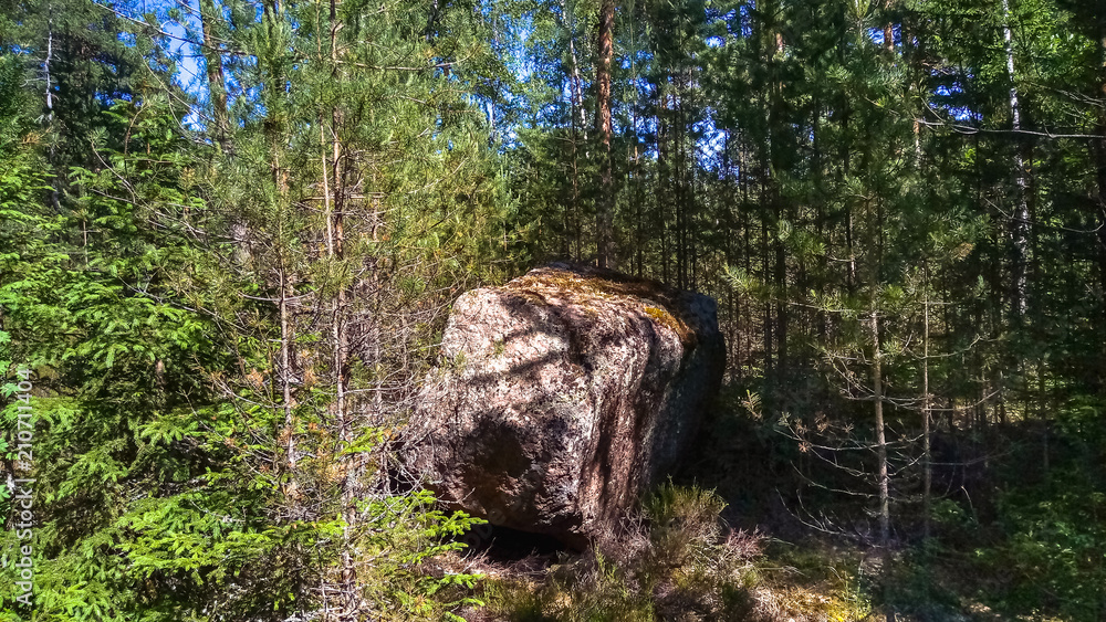 Panorama of the forest with huge granite boulders and fallen trees. Northern forest.