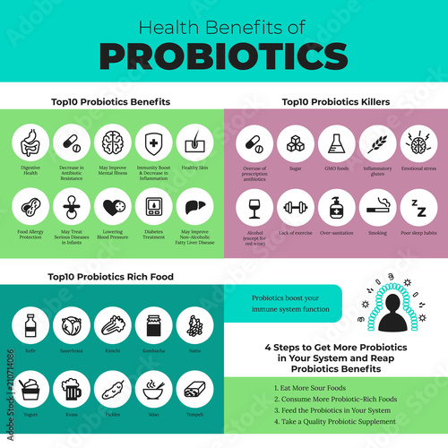 Probiotics health benefits vector infographic. Flat stroke illustration about nutrient rich food and how probiotics influences human body.