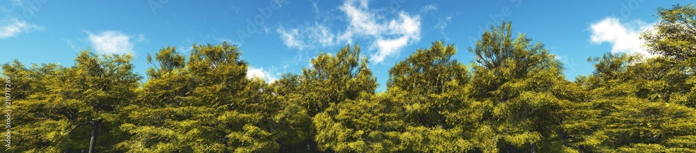 Lemon Grove. Panorama of trees against the sky with clouds.
3D rendering Lemon Grove. Panorama of trees against the sky with clouds.
3D rendering
