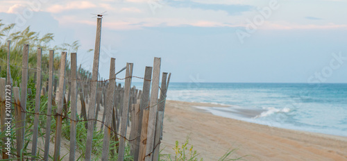 A single solitair dragonfly perched on a sand dune fence at the beach with the ocean in the background.
