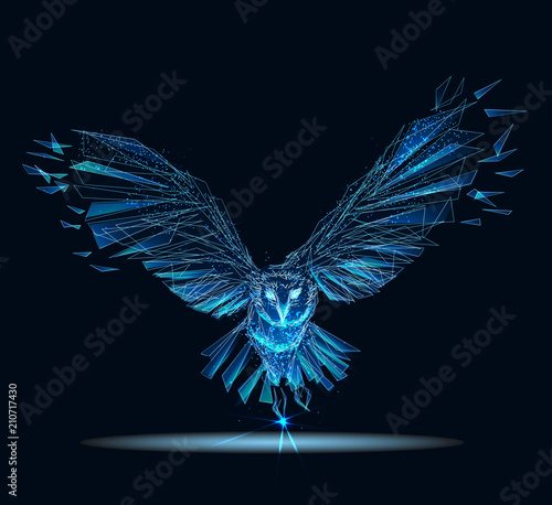 Owl . Banner. Abstract image of a starry sky or space, consisting of points, lines, and shapes in the form of planets, stars and the universe. Low poly vector photo