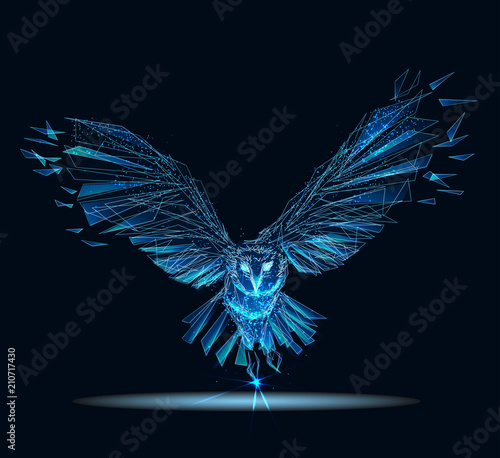 Owl . Banner. Abstract image of a starry sky or space, consisting of points, lines, and shapes in the form of planets, stars and the universe. Low poly vector