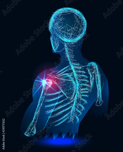 Shoulder painful. Skeleton, 3D Illustration medical concept.  Banner. Abstract image of a starry sky or space, consisting of points, lines,  in the form of stars and the universe. Low poly vector