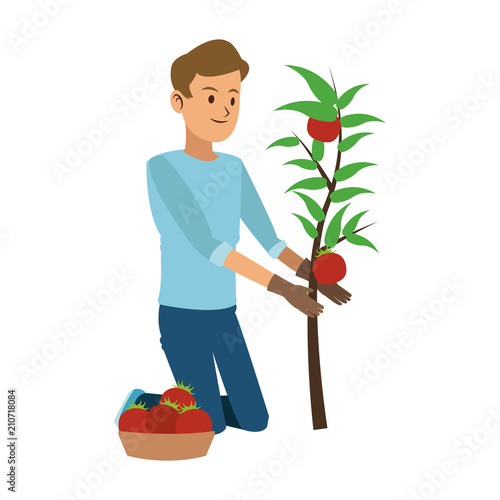 Man with tomato harvest vector illustration graphic design