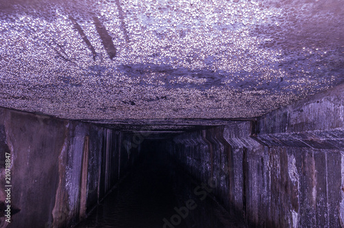 A lot of drops on the ceiling. Underground stars. photo