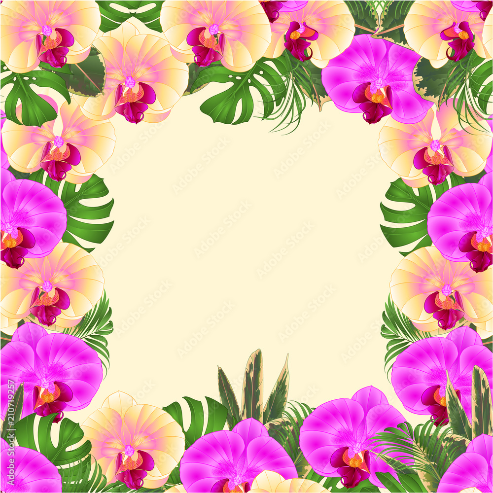 Floral   frame  bouquet with tropical flowers  floral arrangement, with beautiful yellow and purple orchids, palm,philodendron  vintage vector illustration  editable hand draw