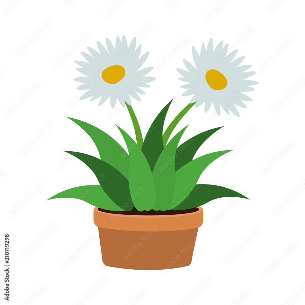 Flowers in pot vector illustration graphic design Flowers in pot vector illustration graphic design