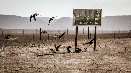 Raves in namibia