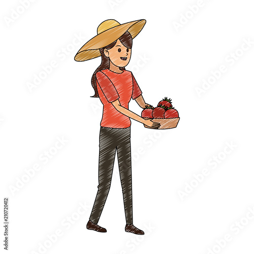 Woman with tomatos harvest in basket vector illustration graphic design