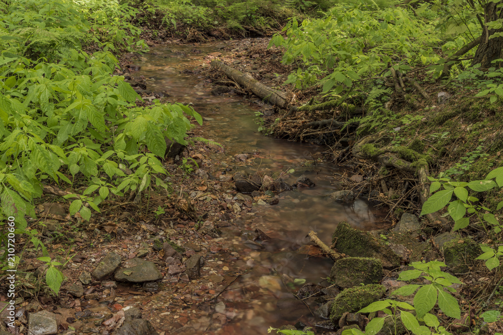 Small creek near Bradlecka Lhota village Small creek near Bradlecka Lhota village