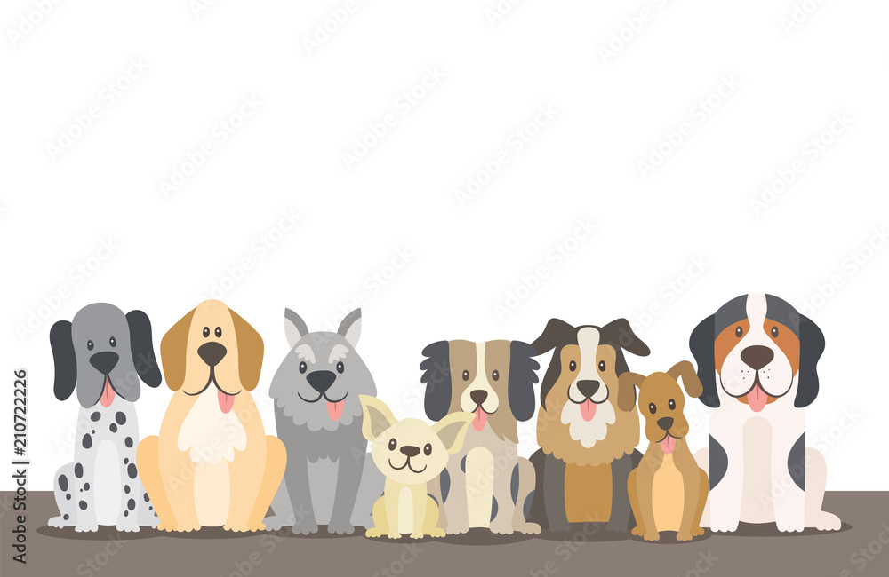 Cook a meal Update recruit Herd of dogs background illustration with editable blank space. Sat dogs in  front view position. Vector illustration. Stock Vector | Adobe Stock