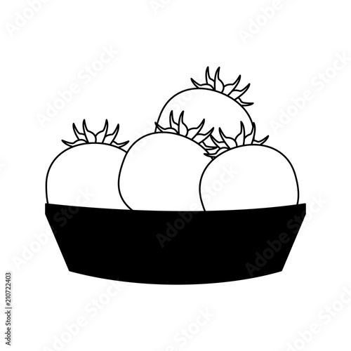 Tomatos on basket vector illustration graphic design vector illustration graphic design