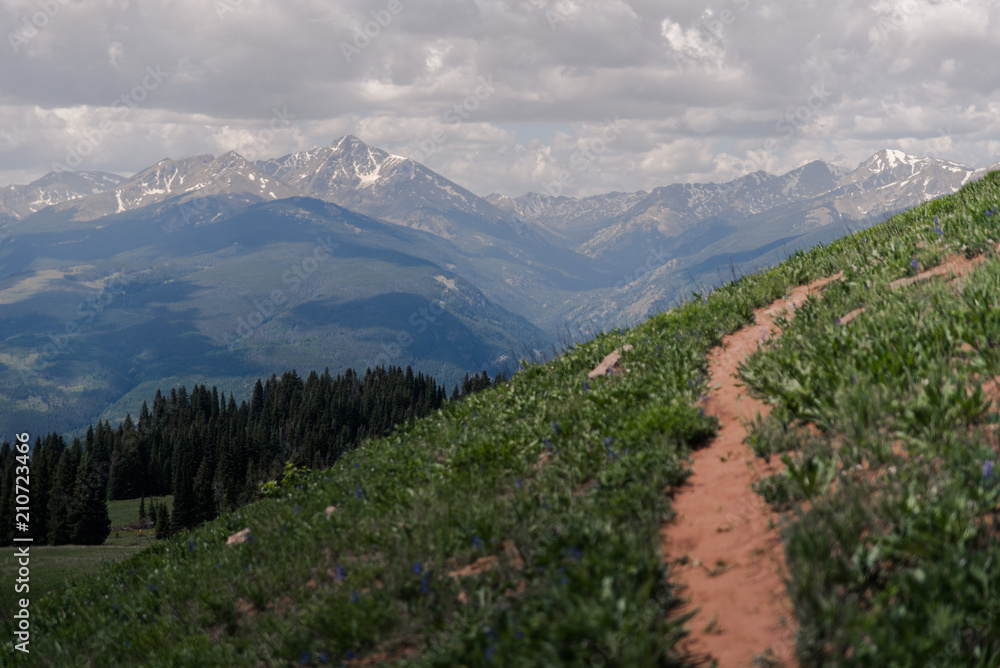 Scenic, landscape view of a hiking trail on Vail Mountain with heavy storm clouds surrounding the area. 