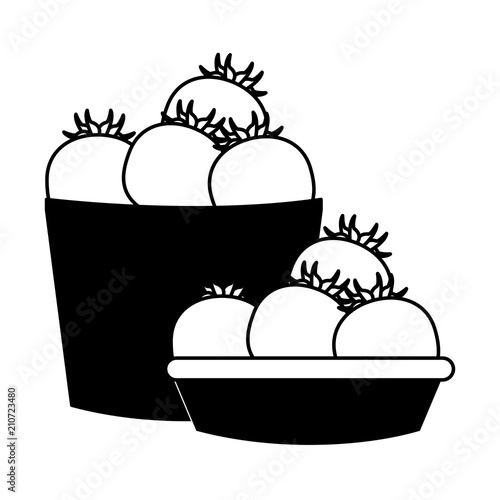 Tomatos on basket vector illustration graphic design