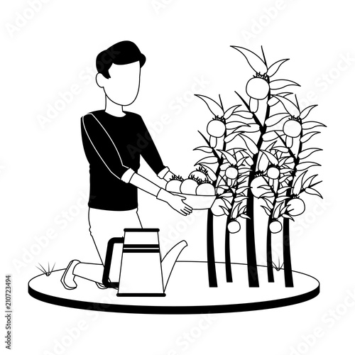 Man with tomatos on basket vector illustration graphic design