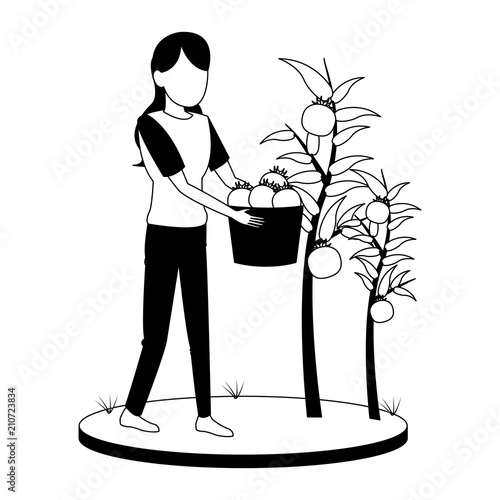Woman with tomatos harvest in basket vector illustration graphic design