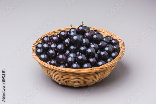Jabuticaba
