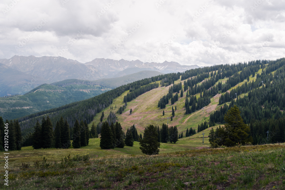 Landscape view of ski runs during the summer in Vail, Colorado. 