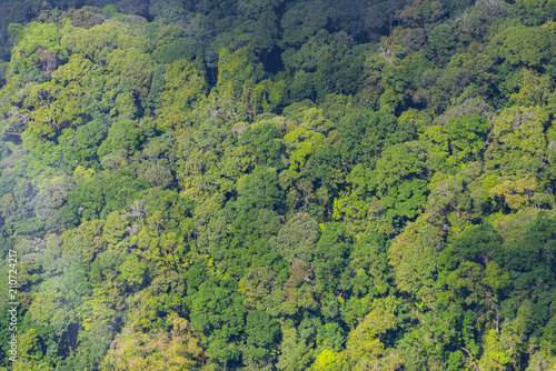 Bird eyes view on tropical forest Thailand