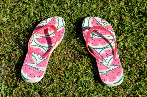 Flip Flop Sandals on a Lawn in Summer