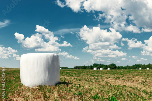 Agricultural landscape with straw packages on field. Cereal bale of hay wrapped in plastic white foil. Hay harvesting, grass harvesting. Season harvesting, grass, agricultural land. photo