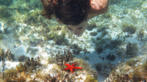 estrella de mar
