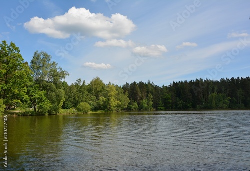 Next to lake