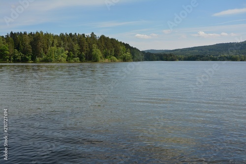 Lake and trees