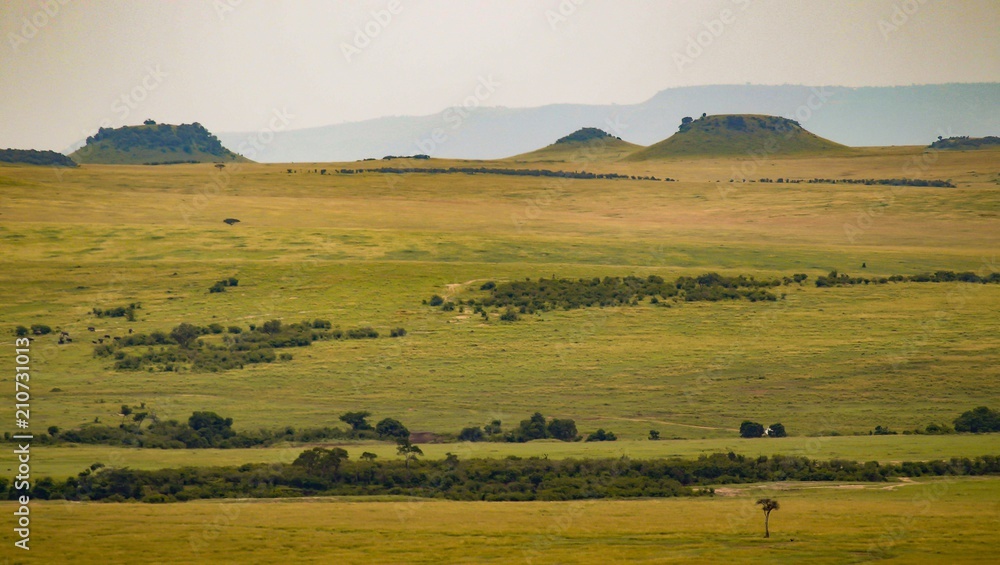 Masai Mara national reserve Kenya