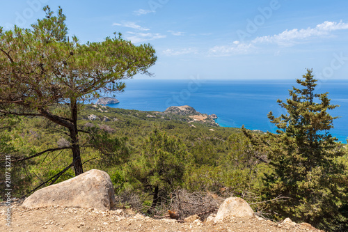 Green pine trees on rocky coast on west side of Rhodes island, Greece