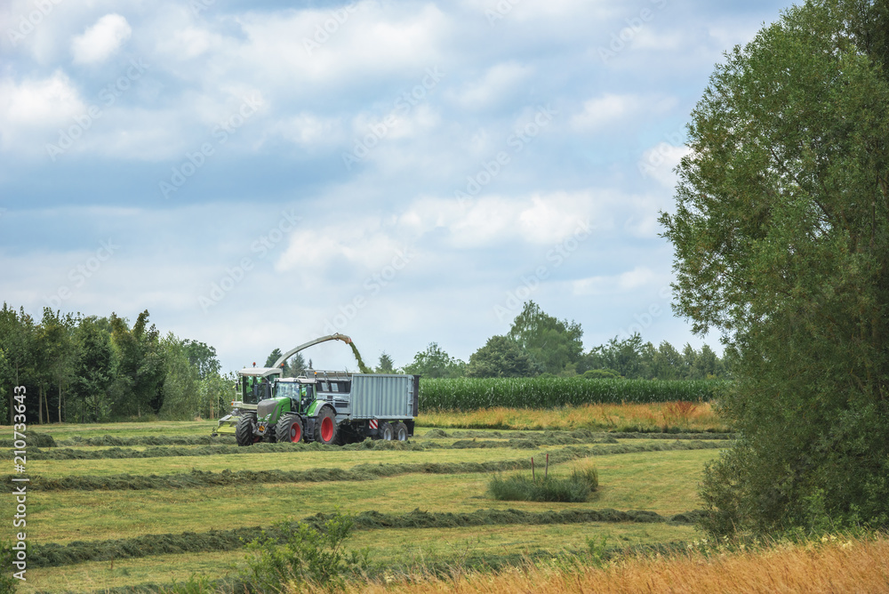 Fototapeta premium Agricultural vehicles harvesting mowed grass