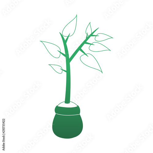 Plant in bag vector illustration graphic design