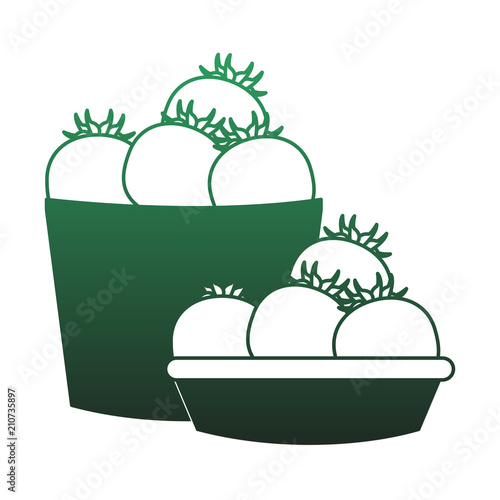Tomatos on basket vector illustration graphic design