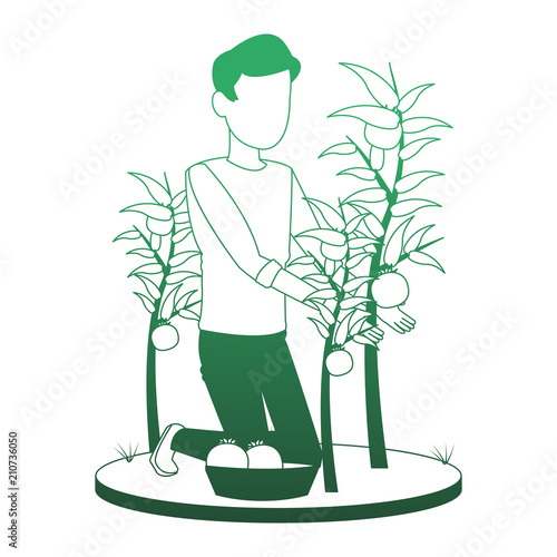 Man with tomato harvest vector illustration graphic design