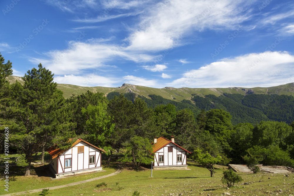 Beautiful cottages in the background of the mountains on a summer day