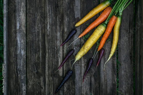 Colored organic carrots over rustic wooden background closeup. Top view