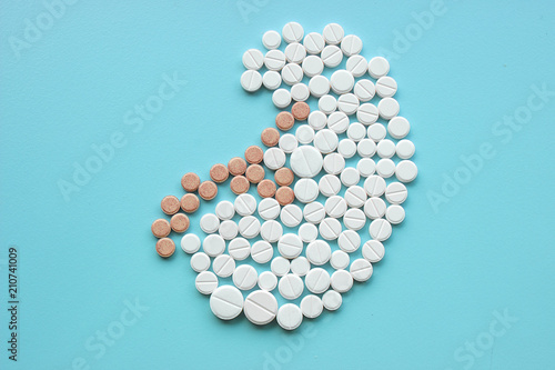 Kidney made of pills on blue background. World Kidney Day concept